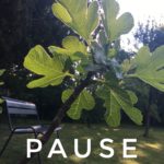 pause-Largo-Photo-clereme-Claire Masson