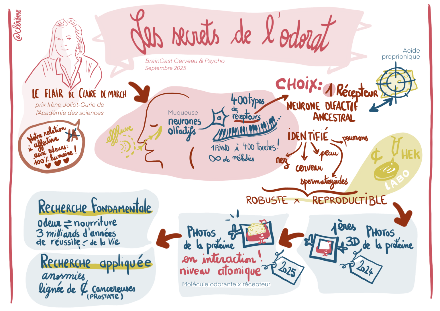 2025 09 _Secret_Odorat_Braincast_Sketchnote_Clereme