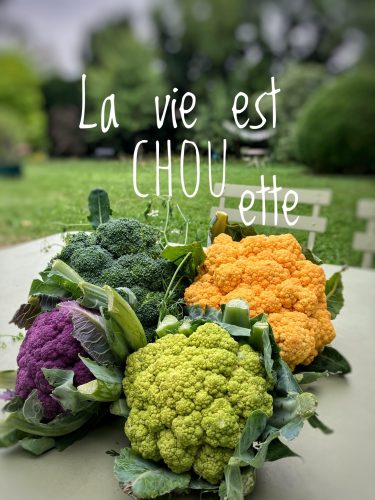 Claire Masson Clereme Photographie Vie chouette Allegro