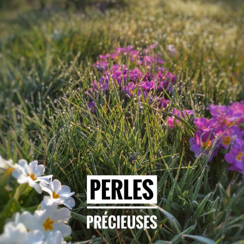 perles precieuses allegro Photo Clereme Claire Masson